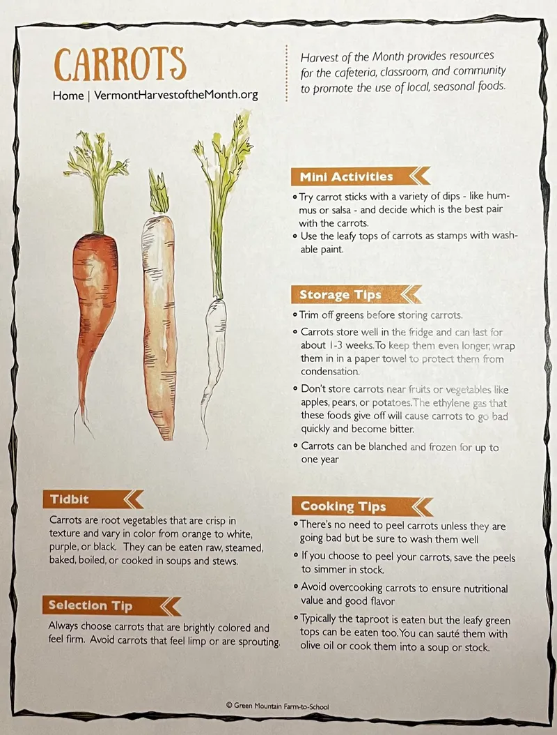Image from a newsletter (needs description)